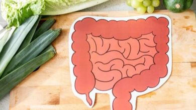 ۱ غذای معروف که در واقع دوست روده شما است!