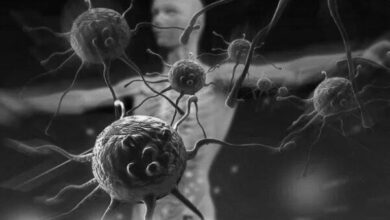 نسخه طبیعت برای تقویت سپر بهداشت کودکان