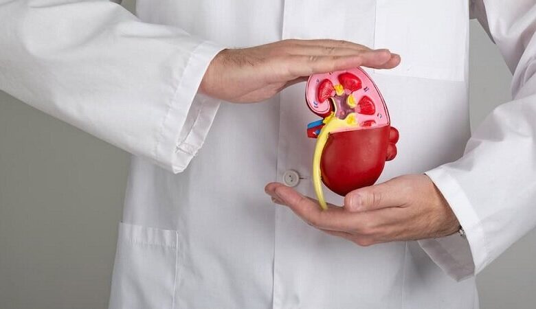 تغذیه مناسب برای حفظ سلامت کلیه