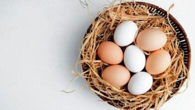 آیا زرده تخم مرغ برای سالمندان مضر است؟