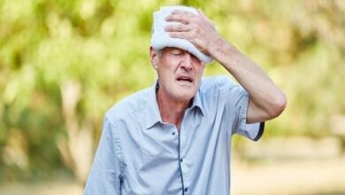 ضرورت اقدامات اضطراری در زمان گرما - آژانس خبری مهر | اخبار ایرانی و جهانی