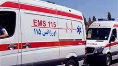 وزارت بهداشت در آماده باش کامل است