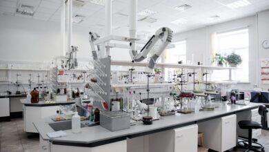 سلامت غذا در ۵۶۰ آزمایشگاه کشور کنترل می‌شود