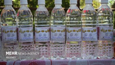 توصیه پزشکی ایران برای کنترل استرس با استفاده از برخی از نوشیدنی ها - آژانس خبری مهر | اخبار ایرانی و جهانی