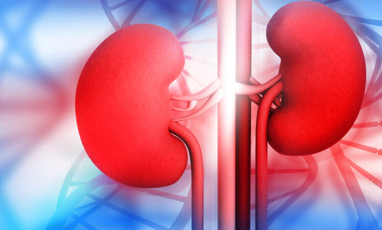 هیدرونفروز ؛ از عوامل و علائم بیماری گرفته تا راهکارهای مؤثر پیشگیری