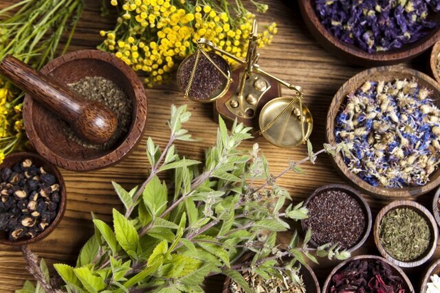 گیاهان آرامش معده را بشناسید