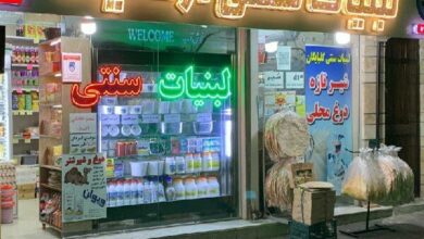 هشدار مهم از مقامات وزارت بهداشت در مورد سگ ها و گربه ها