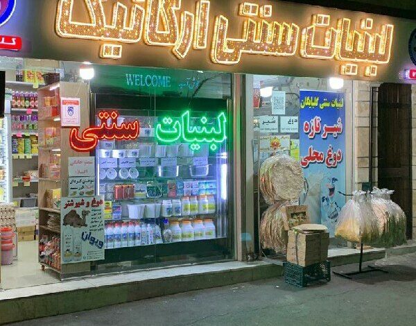 هشدار مهم از مقامات وزارت بهداشت در مورد سگ ها و گربه ها