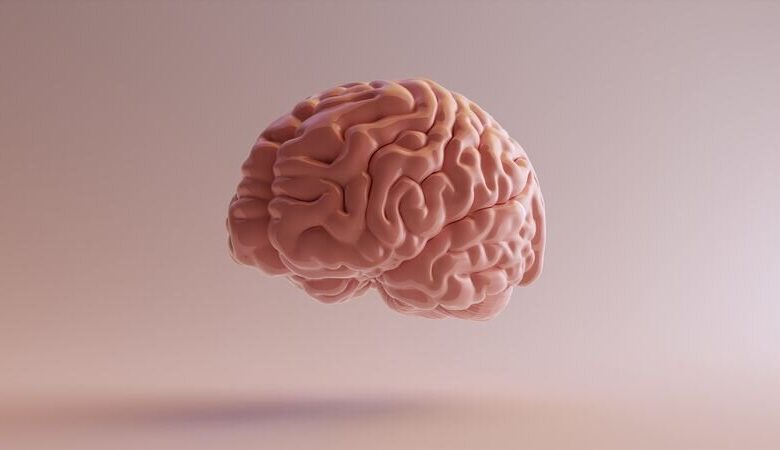 با استفاده از این ویتامین ها ، سلامت مغز را تضمین می کند