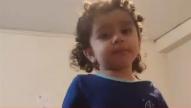 سلامتی ، دکتر ، شهدای ، شهادت ،