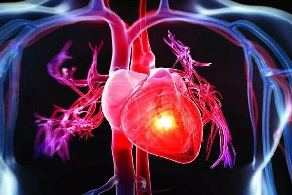 از علم گرفته تا فرهنگ شیوه زندگی تا حفظ سلامت قلب کودکان