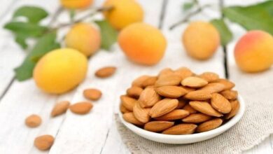 خوردن هسته این میوه خوشمزه تابستانی ممنوع است!