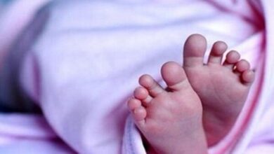 افزایش اضطراب در زنان باردار به طور همزمان با جنگ 6 روزه - آژانس خبری مهر | اخبار ایرانی و جهانی