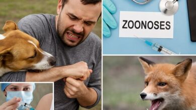 تأکید بر واکسیناسیون و مراقبت‌های بهداشتی