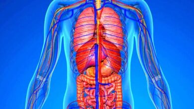 این 2 علامت را در بدن جدی بگیرید