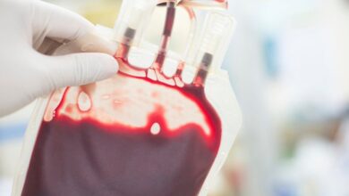 نکاتی در مورد تالاسمی عمده از متخصص بیماری های خون - آژانس خبری مهر | اخبار ایرانی و جهانی