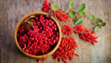 گنج قرمز با خصوصیات شگفت انگیز