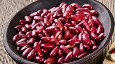 لوبیا سلامت قلب را بهبود می بخشد - آژانس خبری مهر | اخبار ایرانی و جهانی