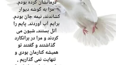 روایت تکان دهنده دکتر سعید ماکارم از حمله به زندان اوین/