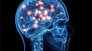 کودکان مبتلا به MS بزرگتر می شوند - آژانس خبری مهر | اخبار ایرانی و جهانی