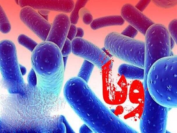 از وبا مراقبت کنید! - آژانس خبری مهر ایرانی و اخبار جهانی
