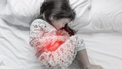 آخرین وضعیت دستگاه گوارش در کشور - آژانس خبری مهر | اخبار ایرانی و جهانی