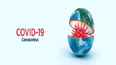 Kavid NB ..1.1 جدید چقدر مشترک است؟