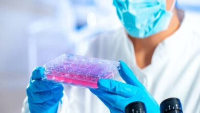 درمان های بیولوژیکی باید مورد بررسی قرار گیرد - آژانس خبری مهر | اخبار ایرانی و جهانی