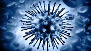 Covide 2 ؛ شایع ترین ویروس تنفسی در ماه ژوئن
