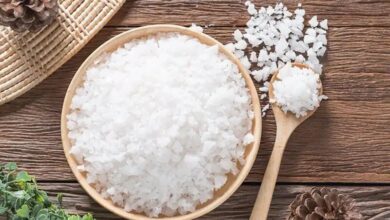 Behfar: نمک های دریاچه حاوی فلزات سنگین - آژانس خبری مهر | اخبار ایرانی و جهانی