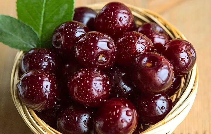 فواید شگفت انگیز یک میوه ترش برای سلامت مغز و قلب