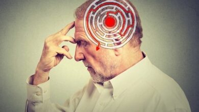 نقش سلامت عاطفی در حافظه - آژانس خبری مهر | اخبار ایرانی و جهانی