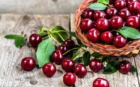 گیلاس ؛ آنتی اکسیدان قوی در سبد میوه تابستانی