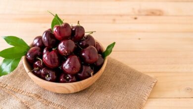 گیلاس ؛ آنتی اکسیدان قوی در سبد میوه تابستانی