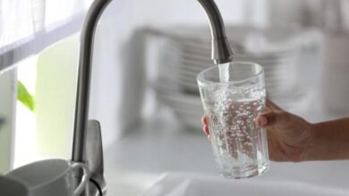 آیا مصرف بیش از حد آب باعث کبد چرب می شود؟ - آژانس خبری مهر ایرانی و اخبار جهانی