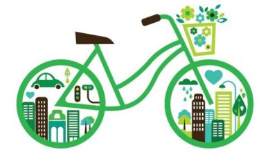 وقتی تاریخ دوچرخه به محیط گره خورده است