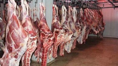 در روزهای گرم سال از سلامت محصولات پروتئینی مراقبت کنید - آژانس خبری مهر | اخبار ایرانی و جهانی