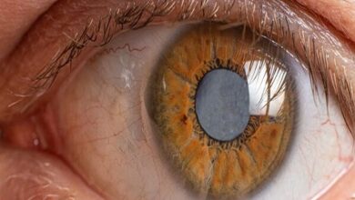 نجات بیمار دیابتی با یک قرص ساده - آژانس خبری Mehr | اخبار ایرانی و جهانی