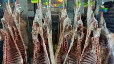 مراقب سلامت محصولات پروتئینی در روزهای گرم سال باشید