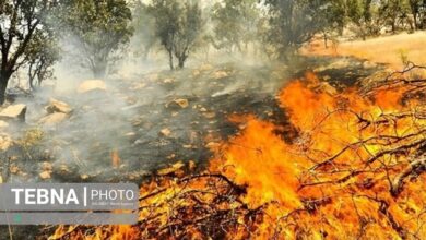 آتش‌سوزی‌های جنگلی خطر آنفلوانزا و کووید۱۹ را افزایش می دهند