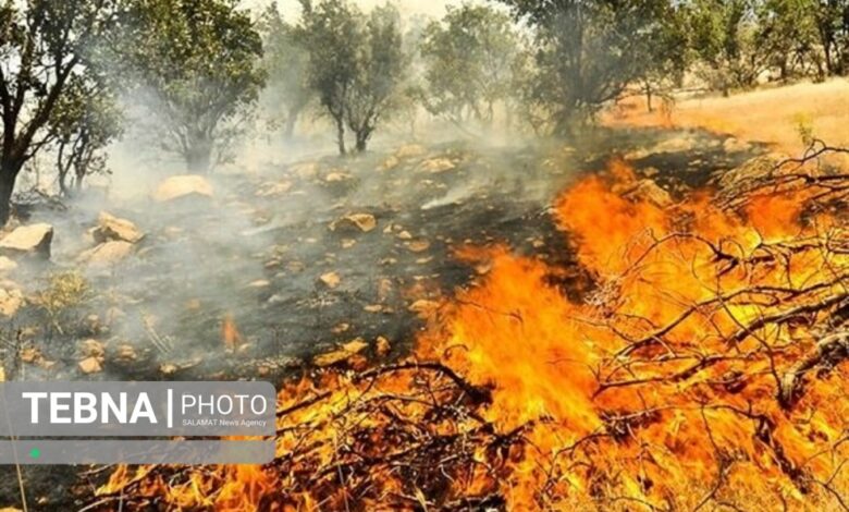 آتش‌سوزی‌های جنگلی خطر آنفلوانزا و کووید۱۹ را افزایش می دهند