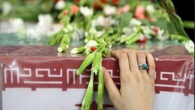 جشن شهدای بهداشتی - آژانس خبری مهر | اخبار ایرانی و جهانی