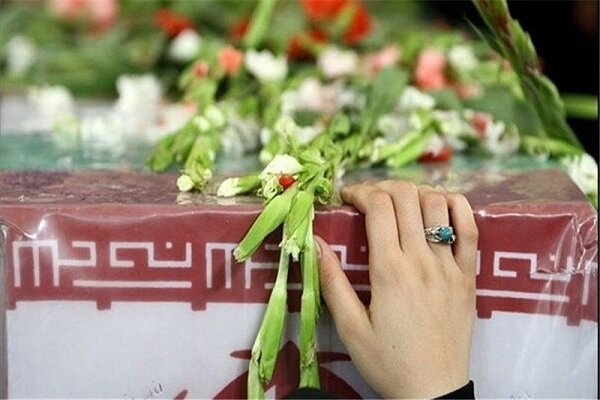 جشن شهدای بهداشتی - آژانس خبری مهر | اخبار ایرانی و جهانی