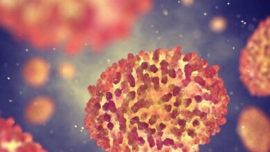 ویروس "بی ضرر" - بیماری پارکینسون - آژانس خبری مهر | اخبار ایرانی و جهانی