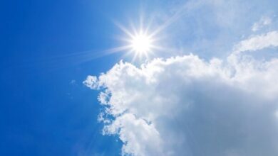 خطرات "گرما" برای بیماران قلبی - آژانس خبری مهر | اخبار ایرانی و جهانی