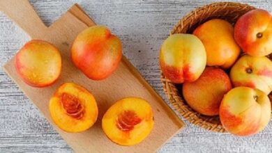 مزایا و خواص درمانی و زیبایی این میوه تابستانی