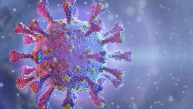 هشدار سازمان بهداشت جهانی در مورد افزایش شیوع بیماری ویروسی