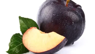 خواص آلو سیاه برای زنان ، مردان ، کودکان و افراد مسن + معایب