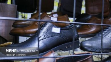 توصیه یک فیزیوتراپیست برای انتخاب کفش استاندارد - آژانس خبری مهر | اخبار ایرانی و جهانی