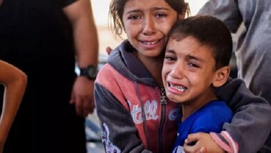 اعتراض متخصصان تغذیه ایران به سازمان ملل متحد ؛ غزه در آستانه قحطی قرار دارد - آژانس خبری مهر | اخبار ایرانی و جهانی